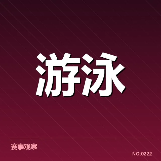 确认的比赛队伍与赛程安排